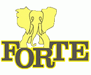 логотип Мебельная фабрика FORTE RUS, г. Владимир